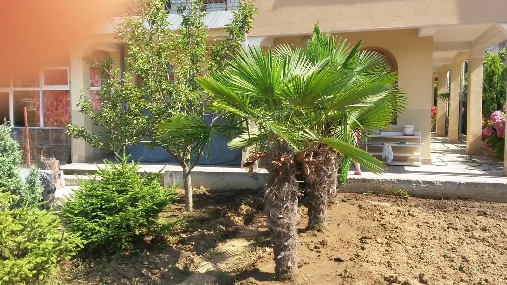 Къща За Гости Кадиеви Primorsko Exterior foto